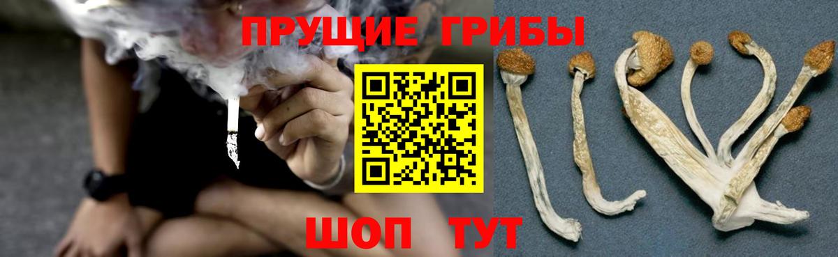 Псилоцибиновые грибы Magic Shrooms Славянск-на-Кубани